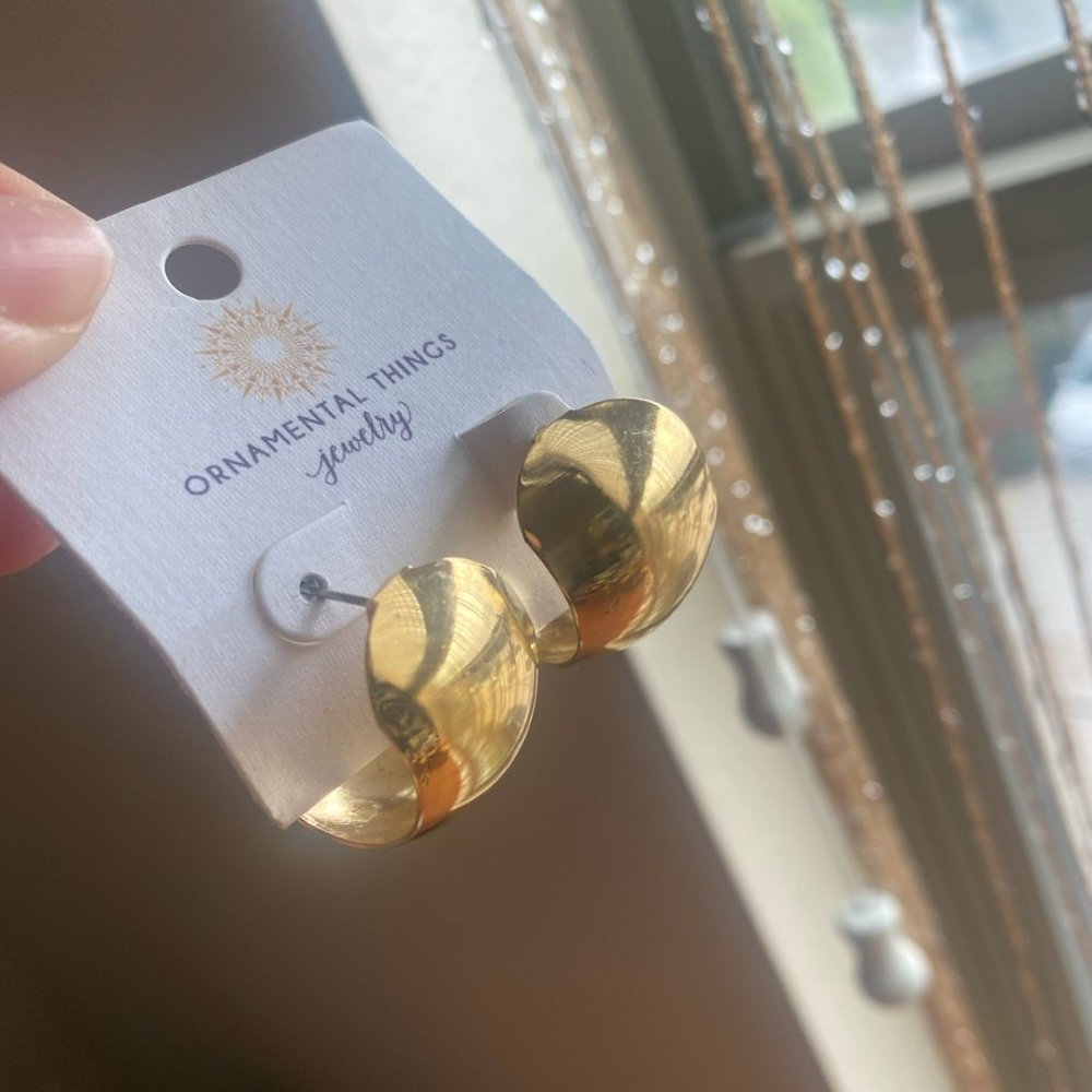 Ornamental Things Jewelry Small Hoop Gold Earrings